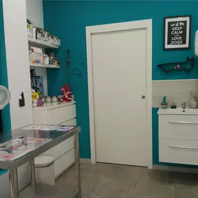 Bild von MAVET Centro Veterinario