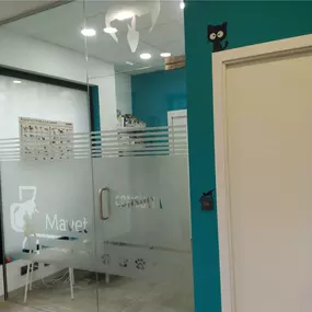 Bild von MAVET Centro Veterinario
