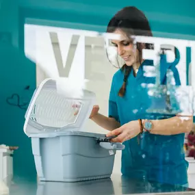 Bild von MAVET Centro Veterinario