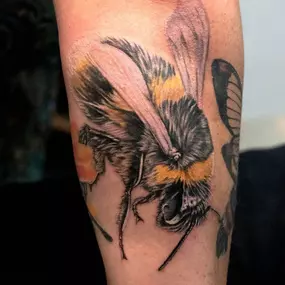 Bild von Art in Motion Tattoos