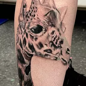 Bild von Art in Motion Tattoos