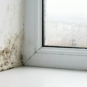 Bild von RGA Gebäudeabdichtungstechnik