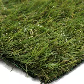 Bild von Grass Cash and Carry