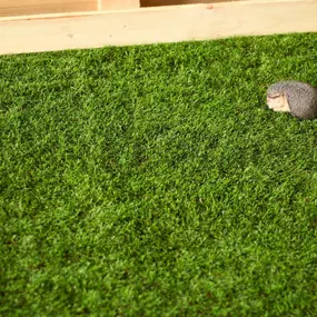 Bild von Grass Cash and Carry