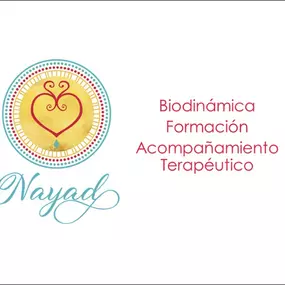 nayadbienestaremocionalyescuelalogoportada.jpg