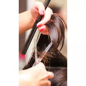 Haircut and style near me