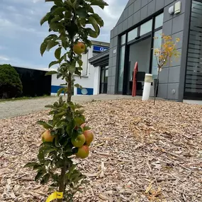Bild von erste.schritte ambulante reha GmbH