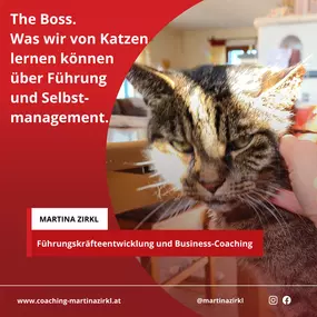 Bild von Martina Zirkl Business Coaching und Beratung