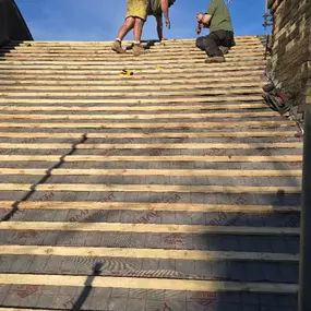 Bild von Mesters Construction