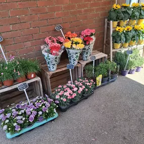 Bild von The Flower Hut Emsworth