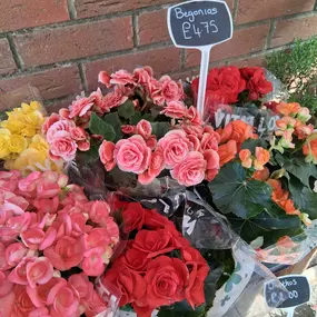 Bild von The Flower Hut Emsworth