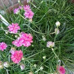 Bild von The Flower Hut Emsworth