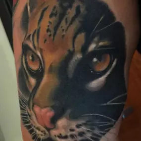 Bild von Pigment Tattoo & Laser Removal