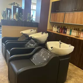 Shampoo Area