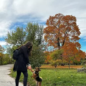 Bild von TARA - hlídání a venčení psů