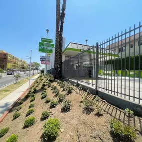 Signage identifying the Catalina Speedwash location, prominently displayed on a landscaped slope along the sidewalk — excellent for visibility from passing traffic.