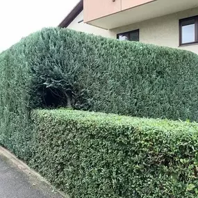 Bild von Gartenpflege & Landschaftspflege Sommer