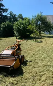 Bild von Gartenpflege & Landschaftspflege Sommer