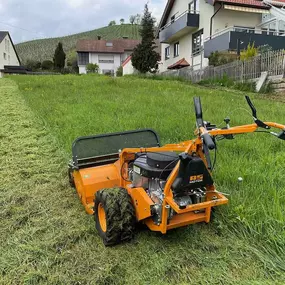 Bild von Gartenpflege & Landschaftspflege Sommer