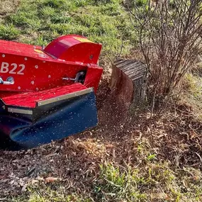Bild von Gartenpflege & Landschaftspflege Sommer