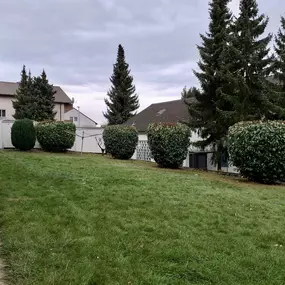 Bild von Gartenpflege & Landschaftspflege Sommer