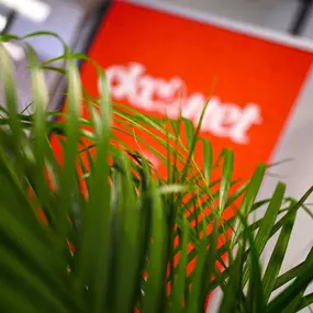 Bild von Agence web CKC-Net | Sophia-Antipolis - Cannes - Antibes