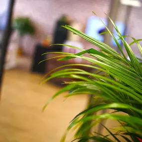 Bild von Agence web CKC-Net | Sophia-Antipolis - Cannes - Antibes