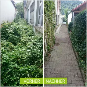 Bild von Simon Schneider Hausmeisterservice