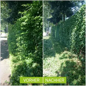 Bild von Simon Schneider Hausmeisterservice