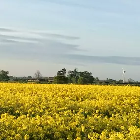 Bild von Rudding Park Estate Limited