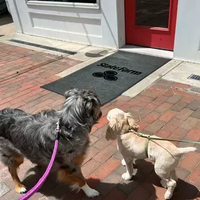 Fetching quotes and belly rubs!
