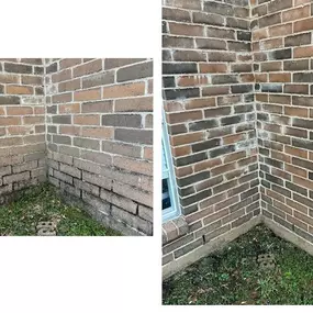 Bild von Exoservices