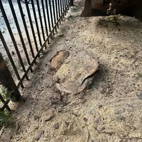 Bild von Exoservices