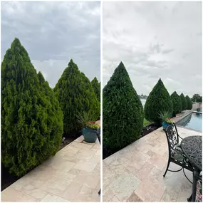 Bild von Exoservices