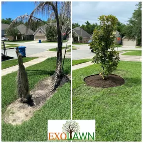 Bild von Exoservices