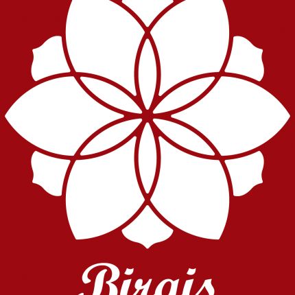 Λογότυπο από Birgis