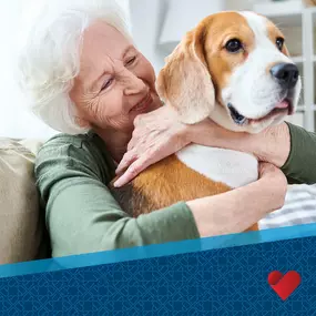 Bild von Homewell Care Services