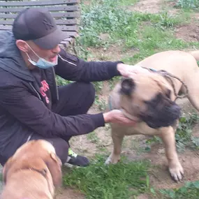 Bild von Adiestra2 / Adiestrador Canino en Barcelona y alrededores