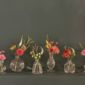 Bild von Blooms Collective