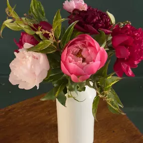 Bild von Blooms Collective