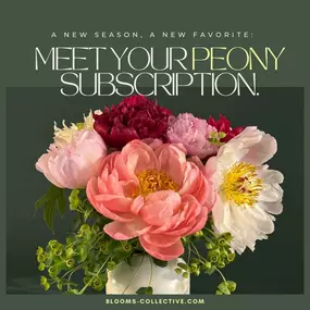 Bild von Blooms Collective