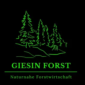 Bild von Giesin Forst