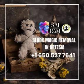 Bild von Astrologer psychic sai ram | Psychic & Spiritual Healer in California