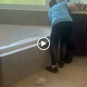 Bild von Manatee Ladies Cleaning