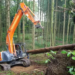 Bild von Hauserbauer Transport & Erdbau GmbH