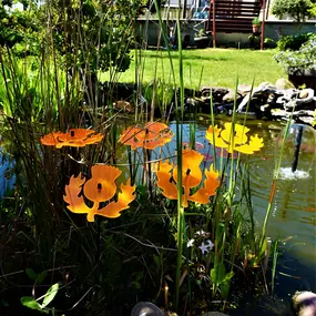 Bild von SunCatcher Ltd.