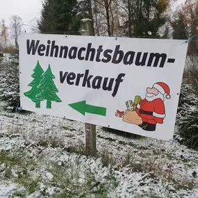 Bild von Natürlich Nordmann, Weihnachtsbäume aus naturnahem Anbau