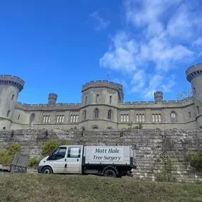 Bild von Matt Hale Tree Surgery Ltd