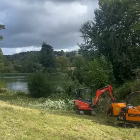 Bild von Matt Hale Tree Surgery Ltd