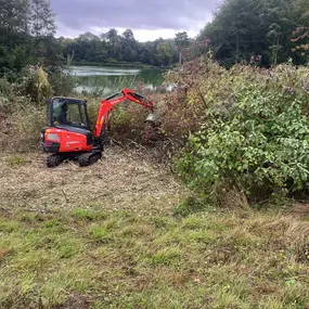 Bild von Matt Hale Tree Surgery Ltd